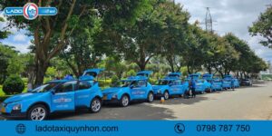 Nên thuê xe tự lái hay có tài xế khi đi du lịch Quy Nhơn
